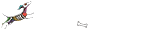 Xolo Forum